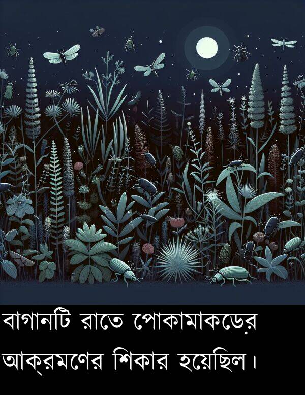বাগানটি: বাগানটি রাতে পোকামাকড়ের আক্রমণের শিকার হয়েছিল।