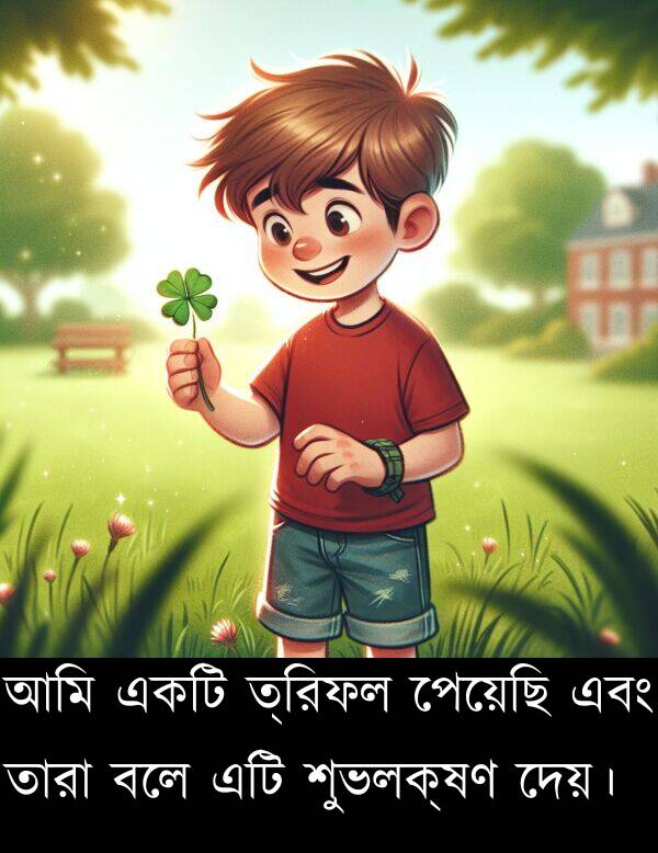দেয়।: আমি একটি ত্রিফল পেয়েছি এবং তারা বলে এটি শুভলক্ষণ দেয়।