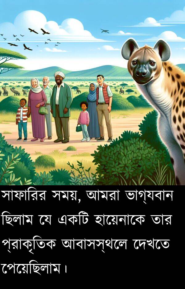 পেয়েছিলাম।: সাফারির সময়, আমরা ভাগ্যবান ছিলাম যে একটি হায়েনাকে তার প্রাকৃতিক আবাসস্থলে দেখতে পেয়েছিলাম।