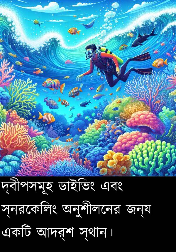 দ্বীপসমূহ: দ্বীপসমূহ ডাইভিং এবং স্নরকেলিং অনুশীলনের জন্য একটি আদর্শ স্থান।