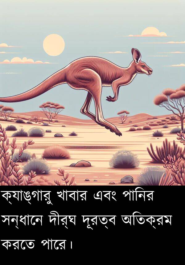 দূরত্ব: ক্যাঙ্গারু খাবার এবং পানির সন্ধানে দীর্ঘ দূরত্ব অতিক্রম করতে পারে।