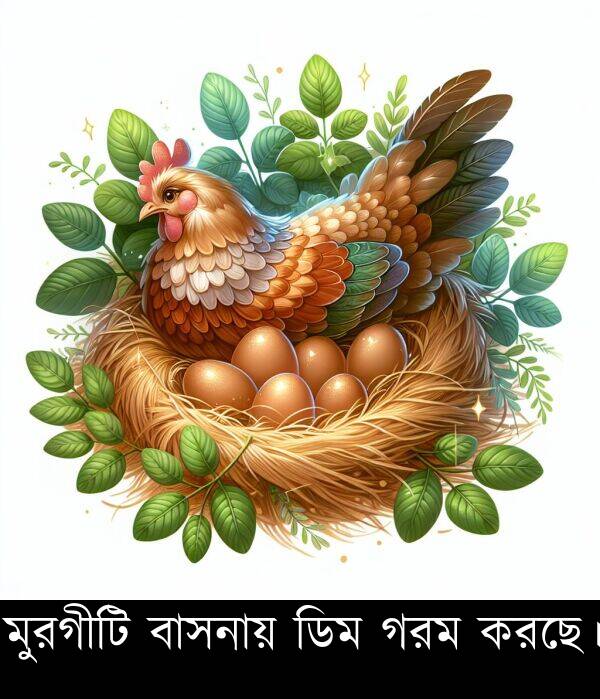 করছে।: মুরগীটি বাসনায় ডিম গরম করছে।