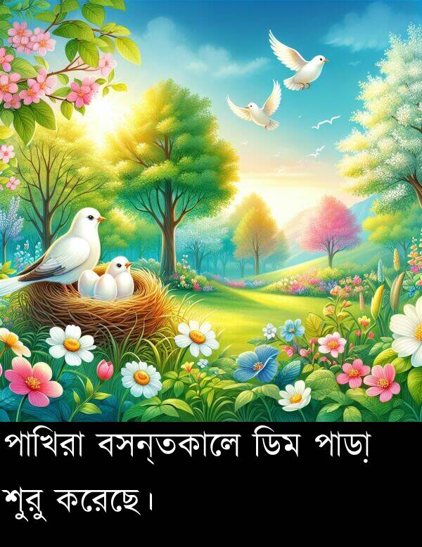 পাড়া: পাখিরা বসন্তকালে ডিম পাড়া শুরু করেছে।