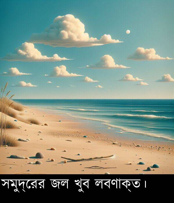 লবণাক্ত।: সমুদ্রের জল খুব লবণাক্ত।