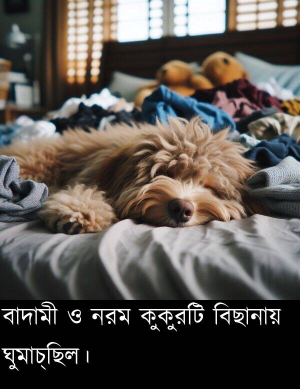 ঘুমাচ্ছিল।: বাদামী ও নরম কুকুরটি বিছানায় ঘুমাচ্ছিল।