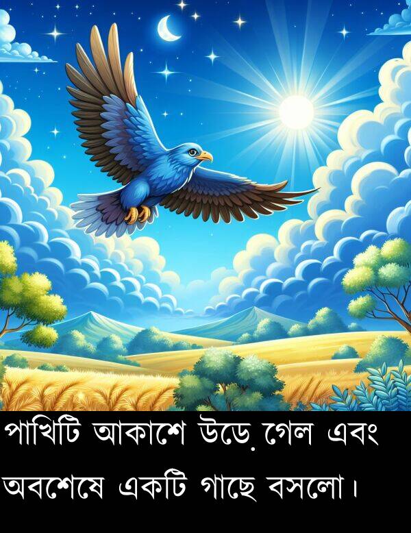 পাখিটি: পাখিটি আকাশে উড়ে গেল এবং অবশেষে একটি গাছে বসলো।