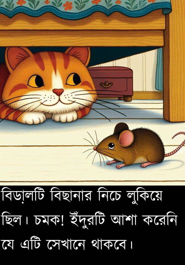 নিচে: বিড়ালটি বিছানার নিচে লুকিয়ে ছিল। চমক! ইঁদুরটি আশা করেনি যে এটি সেখানে থাকবে।