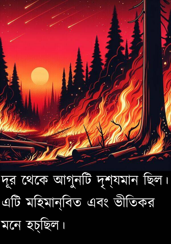 হচ্ছিল।: দূর থেকে আগুনটি দৃশ্যমান ছিল। এটি মহিমান্বিত এবং ভীতিকর মনে হচ্ছিল।