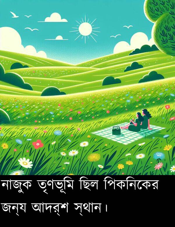 পিকনিকের: নাজুক তৃণভূমি ছিল পিকনিকের জন্য আদর্শ স্থান।