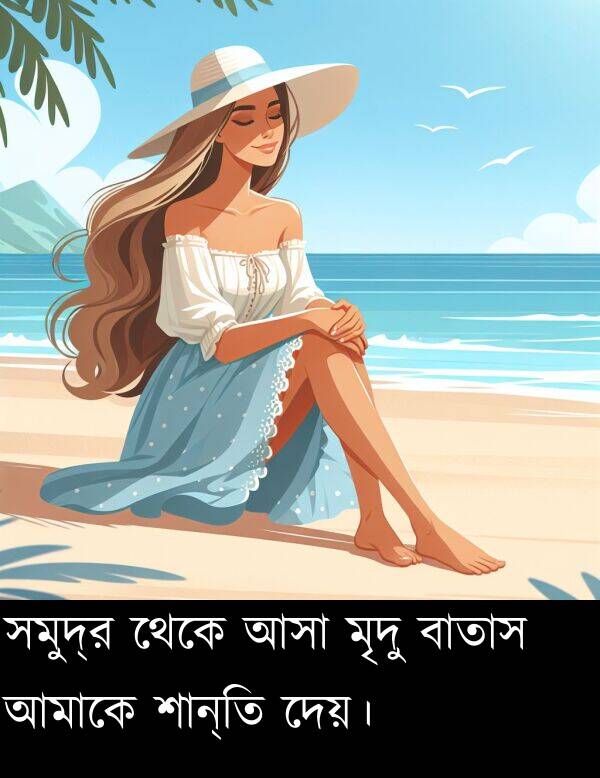 মৃদু: সমুদ্র থেকে আসা মৃদু বাতাস আমাকে শান্তি দেয়।