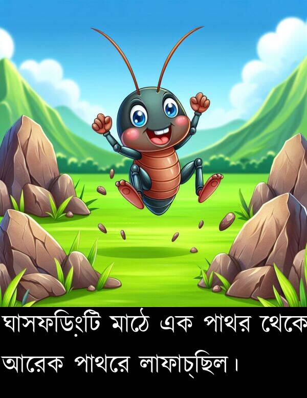 পাথরে: ঘাসফড়িংটি মাঠে এক পাথর থেকে আরেক পাথরে লাফাচ্ছিল।