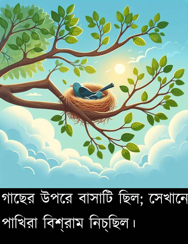 বিশ্রাম: গাছের উপরে বাসাটি ছিল; সেখানে পাখিরা বিশ্রাম নিচ্ছিল।