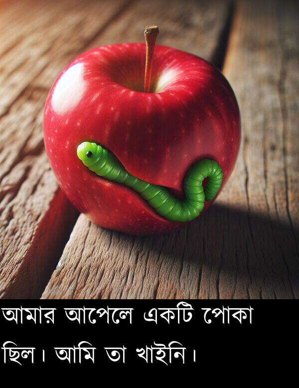 পোকা: আমার আপেলে একটি পোকা ছিল। আমি তা খাইনি।