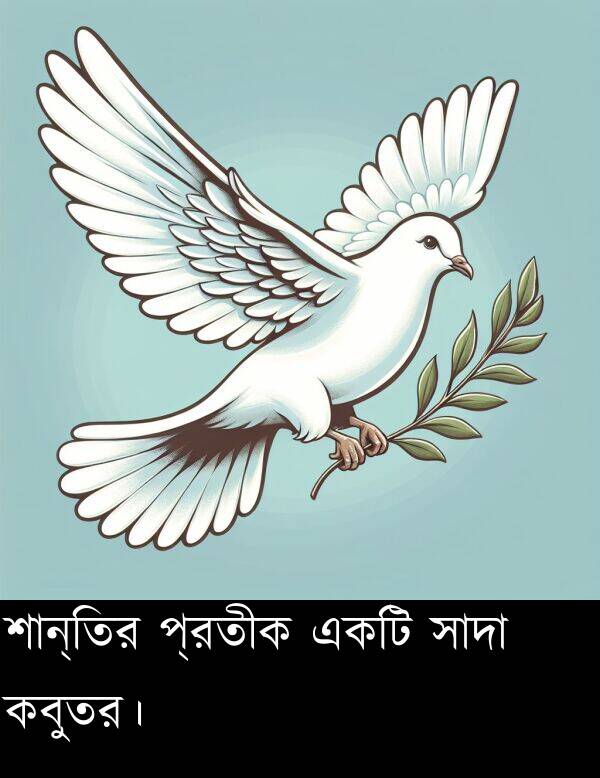 প্রতীক: শান্তির প্রতীক একটি সাদা কবুতর।