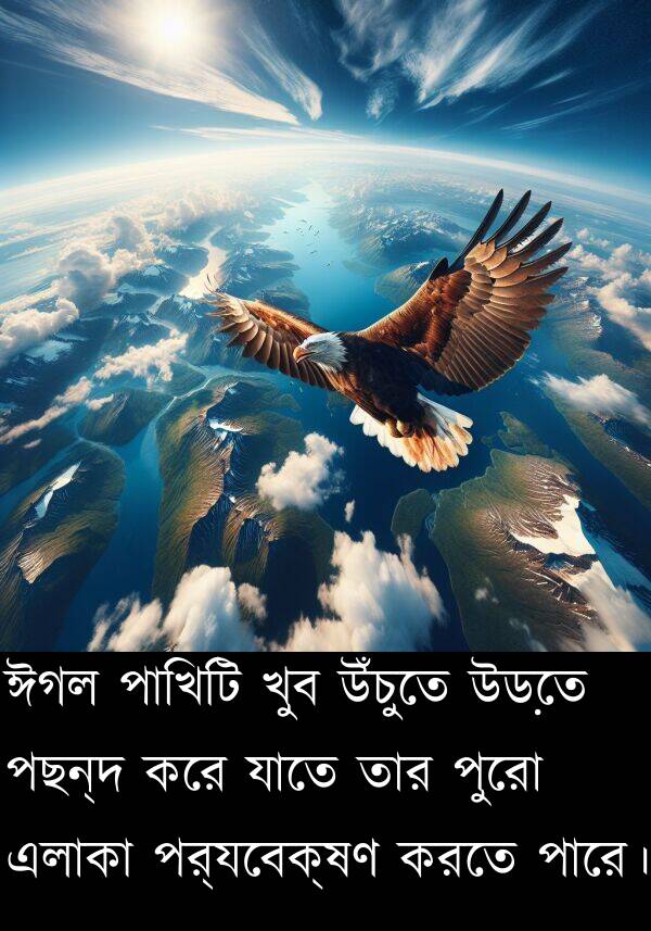 পাখিটি: ঈগল পাখিটি খুব উঁচুতে উড়তে পছন্দ করে যাতে তার পুরো এলাকা পর্যবেক্ষণ করতে পারে।
