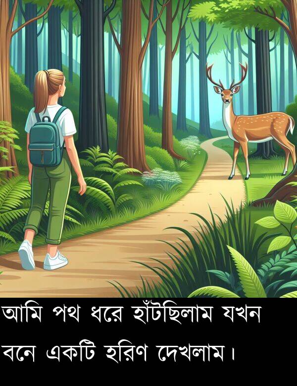 যখন: আমি পথ ধরে হাঁটছিলাম যখন বনে একটি হরিণ দেখলাম।
