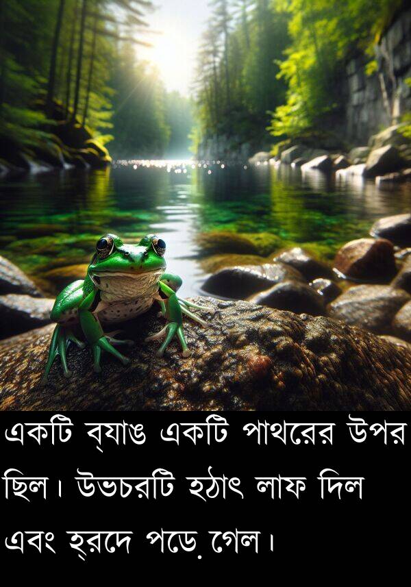 দিল: একটি ব্যাঙ একটি পাথরের উপর ছিল। উভচরটি হঠাৎ লাফ দিল এবং হ্রদে পড়ে গেল।