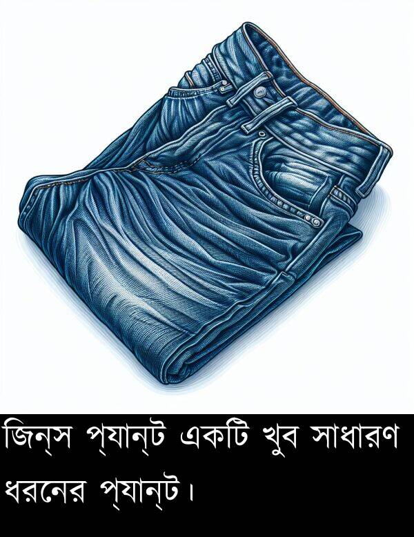 প্যান্ট: জিন্স প্যান্ট একটি খুব সাধারণ ধরনের প্যান্ট।