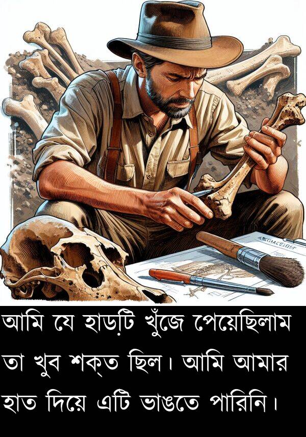 পারিনি।: আমি যে হাড়টি খুঁজে পেয়েছিলাম তা খুব শক্ত ছিল। আমি আমার হাত দিয়ে এটি ভাঙতে পারিনি।