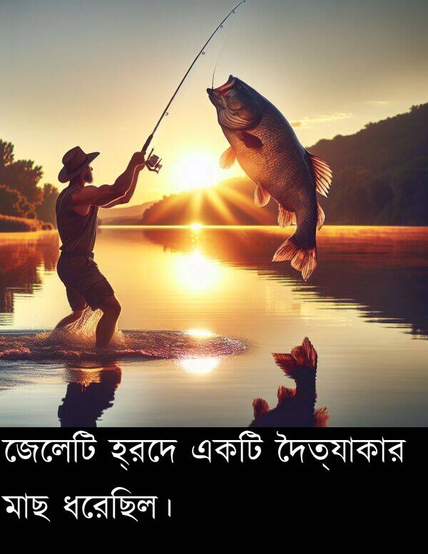 হ্রদে: জেলেটি হ্রদে একটি দৈত্যাকার মাছ ধরেছিল।
