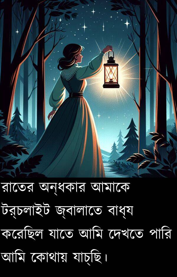 দেখতে: রাতের অন্ধকার আমাকে টর্চলাইট জ্বালাতে বাধ্য করেছিল যাতে আমি দেখতে পারি আমি কোথায় যাচ্ছি।