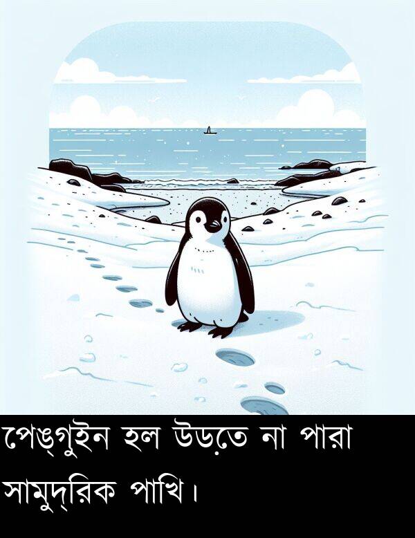 পারা: পেঙ্গুইন হল উড়তে না পারা সামুদ্রিক পাখি।