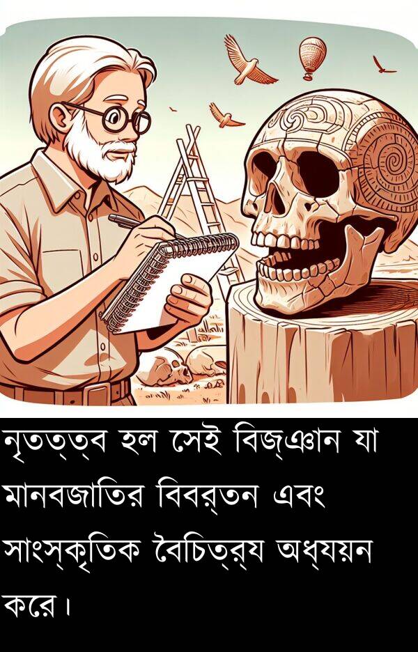 বিবর্তন: নৃতত্ত্ব হল সেই বিজ্ঞান যা মানবজাতির বিবর্তন এবং সাংস্কৃতিক বৈচিত্র্য অধ্যয়ন করে।