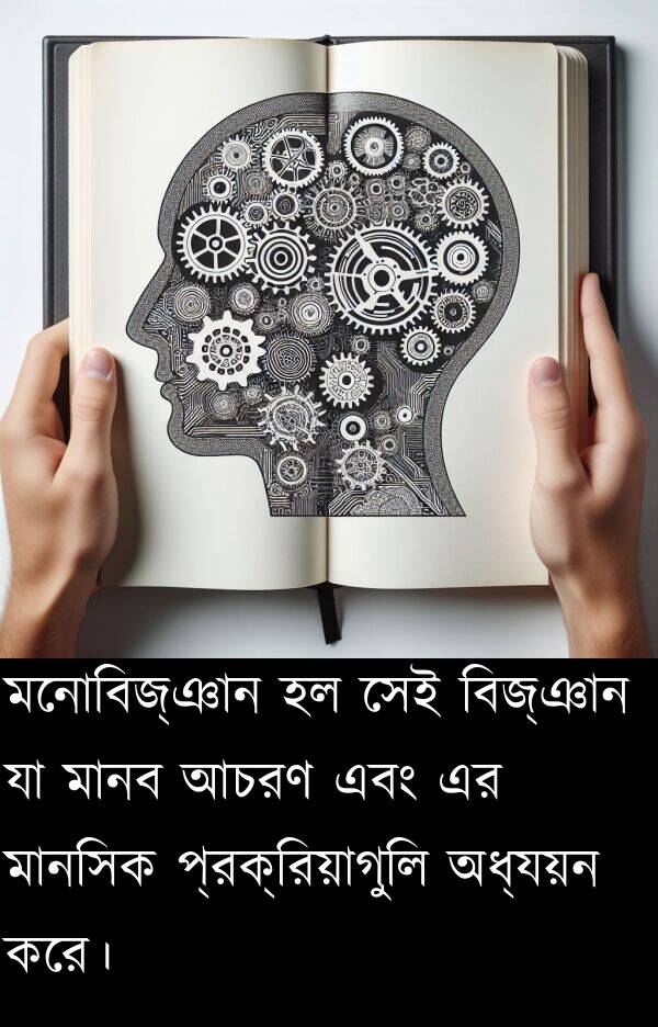 প্রক্রিয়াগুলি: মনোবিজ্ঞান হল সেই বিজ্ঞান যা মানব আচরণ এবং এর মানসিক প্রক্রিয়াগুলি অধ্যয়ন করে।