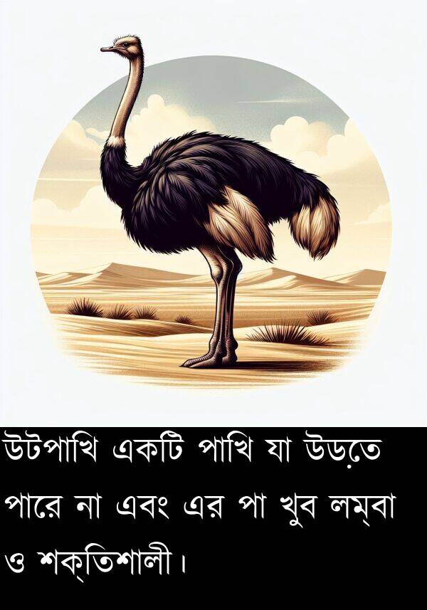 পাখি: উটপাখি একটি পাখি যা উড়তে পারে না এবং এর পা খুব লম্বা ও শক্তিশালী।