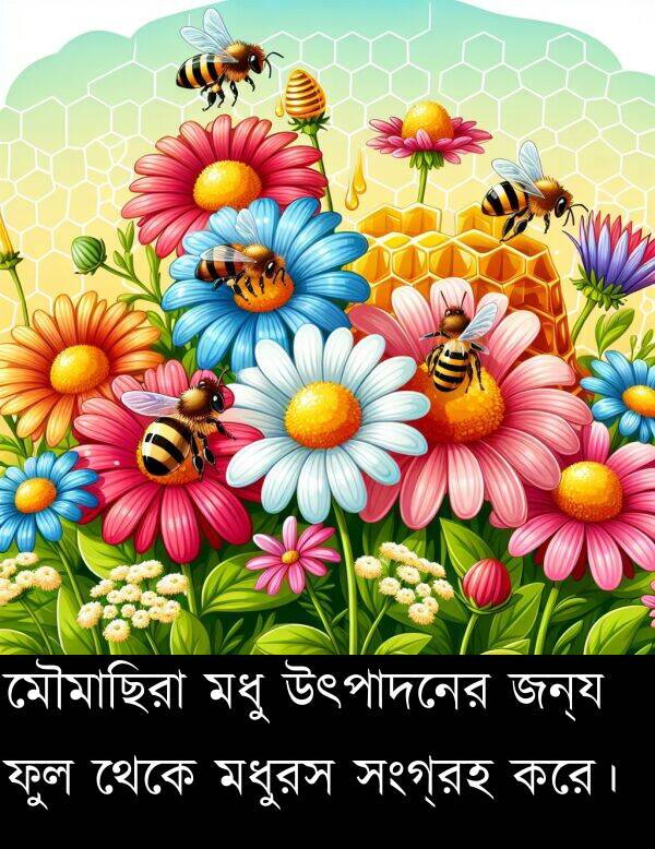 উৎপাদনের: মৌমাছিরা মধু উৎপাদনের জন্য ফুল থেকে মধুরস সংগ্রহ করে।