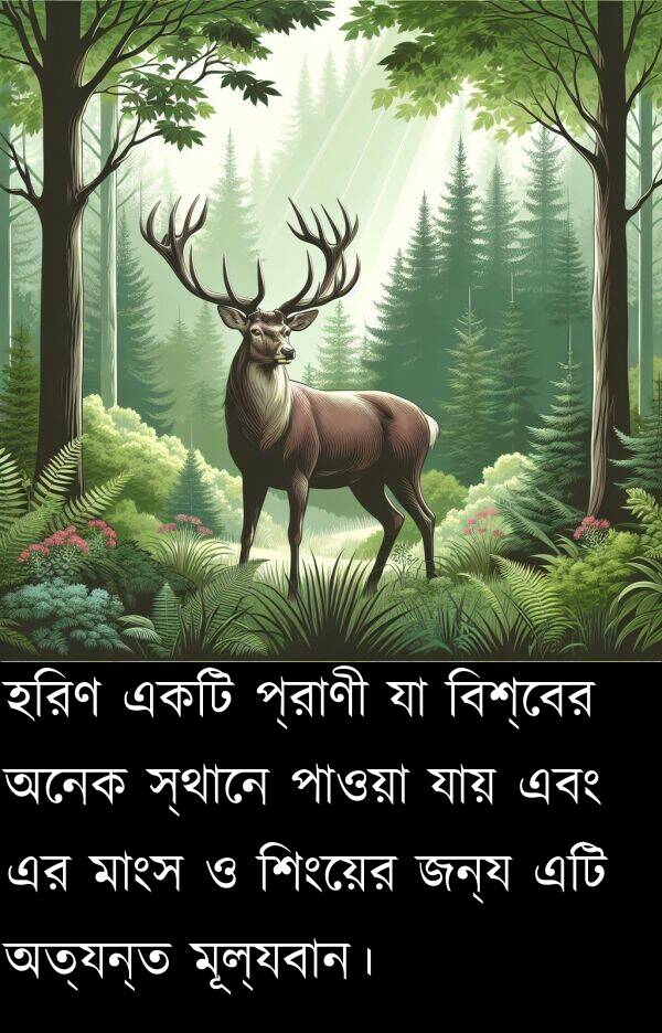 যায়: হরিণ একটি প্রাণী যা বিশ্বের অনেক স্থানে পাওয়া যায় এবং এর মাংস ও শিংয়ের জন্য এটি অত্যন্ত মূল্যবান।
