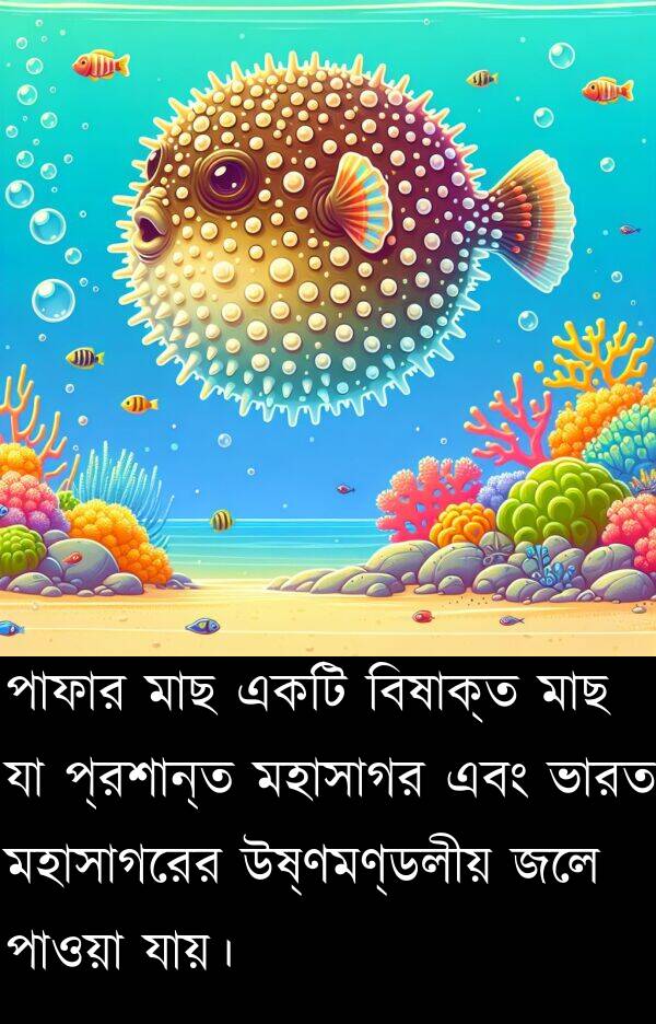 যায়।: পাফার মাছ একটি বিষাক্ত মাছ যা প্রশান্ত মহাসাগর এবং ভারত মহাসাগরের উষ্ণমণ্ডলীয় জলে পাওয়া যায়।
