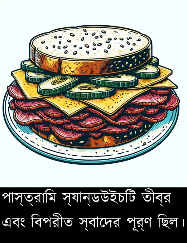 পূর্ণ: পাস্ত্রামি স্যান্ডউইচটি তীব্র এবং বিপরীত স্বাদের পূর্ণ ছিল।