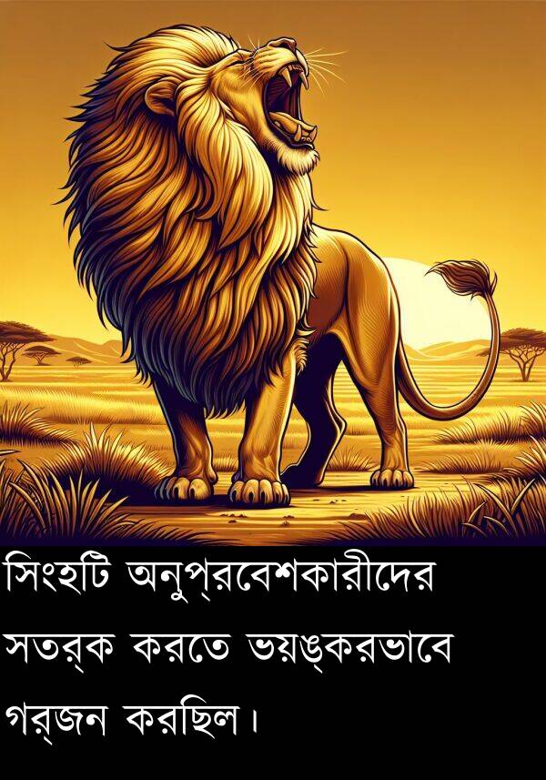 সতর্ক: সিংহটি অনুপ্রবেশকারীদের সতর্ক করতে ভয়ঙ্করভাবে গর্জন করছিল।