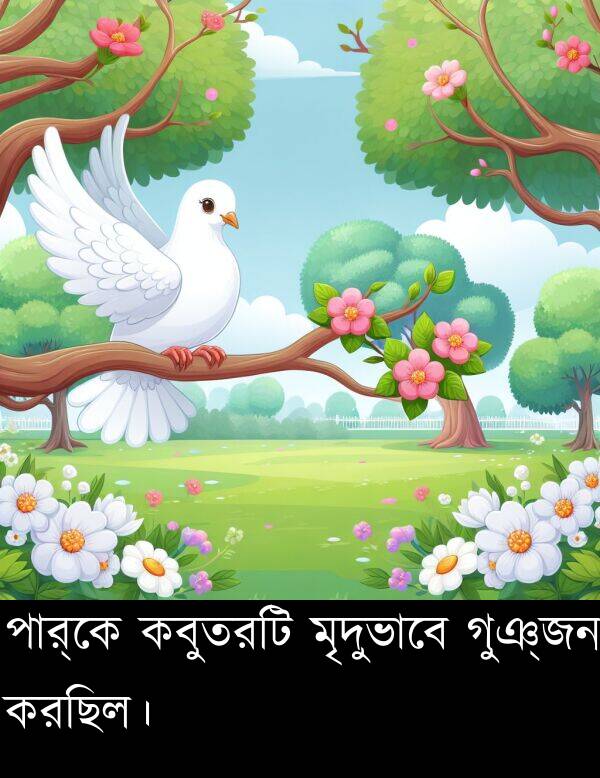 কবুতরটি: পার্কে কবুতরটি মৃদুভাবে গুঞ্জন করছিল।