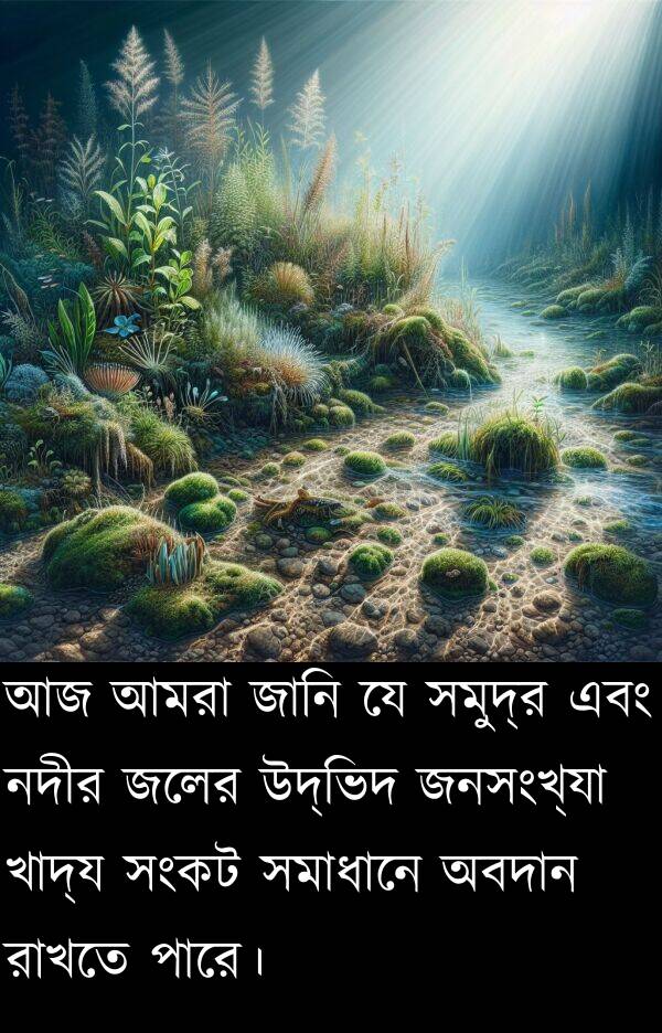রাখতে: আজ আমরা জানি যে সমুদ্র এবং নদীর জলের উদ্ভিদ জনসংখ্যা খাদ্য সংকট সমাধানে অবদান রাখতে পারে।