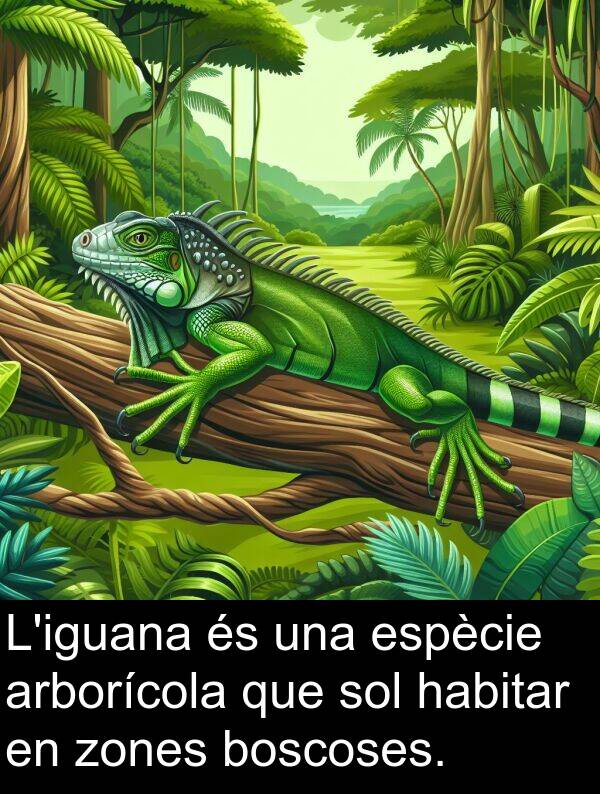 habitar: L'iguana és una espècie arborícola que sol habitar en zones boscoses.