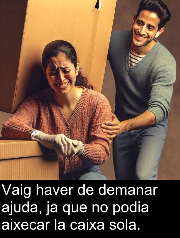 sola: Vaig haver de demanar ajuda, ja que no podia aixecar la caixa sola.