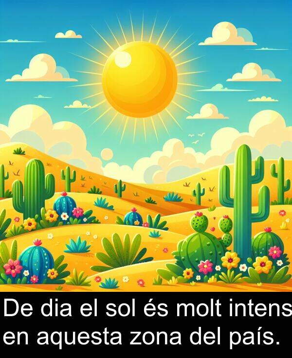 sol: De dia el sol és molt intens en aquesta zona del país.
