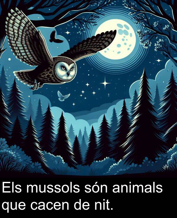 mussols: Els mussols són animals que cacen de nit.