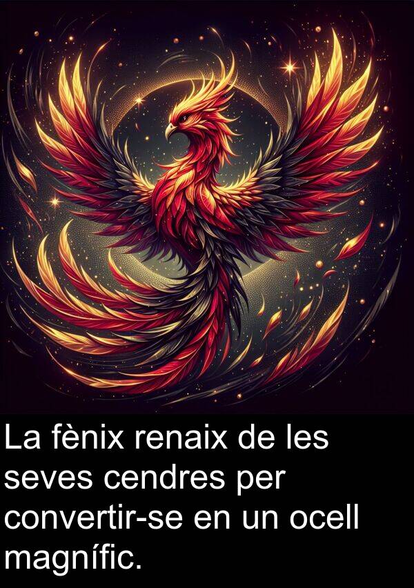 fènix: La fènix renaix de les seves cendres per convertir-se en un ocell magnífic.