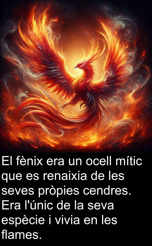 flames: El fènix era un ocell mític que es renaixia de les seves pròpies cendres. Era l'únic de la seva espècie i vivia en les flames.