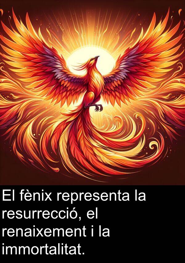 fènix: El fènix representa la resurrecció, el renaixement i la immortalitat.