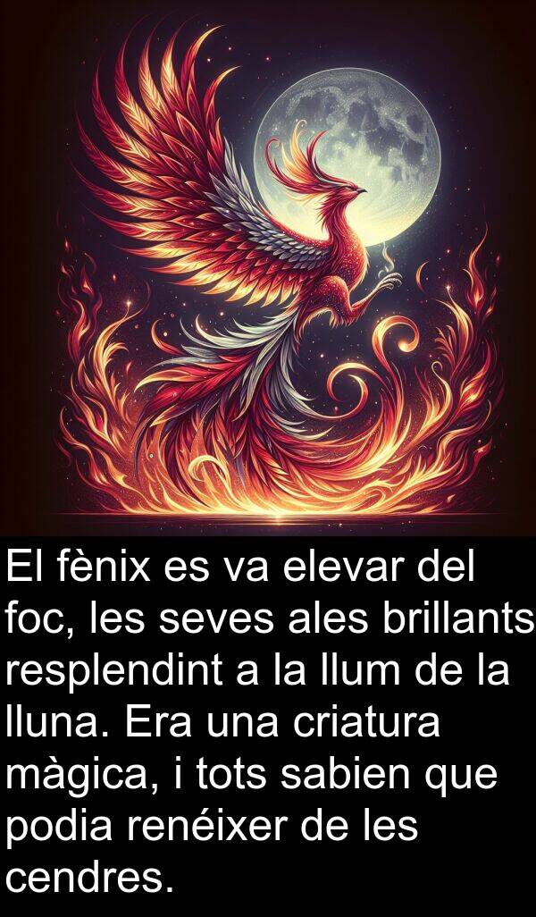lluna: El fènix es va elevar del foc, les seves ales brillants resplendint a la llum de la lluna. Era una criatura màgica, i tots sabien que podia renéixer de les cendres.