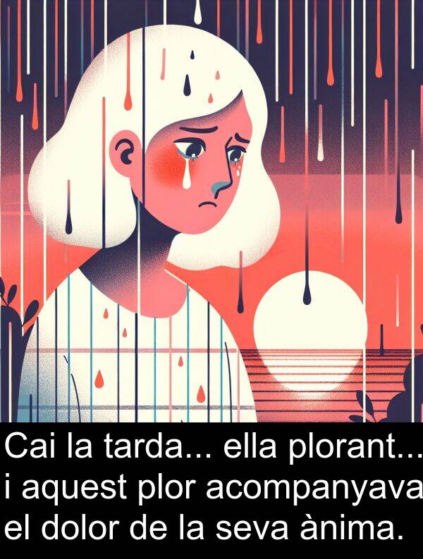 ella: Cai la tarda... ella plorant... i aquest plor acompanyava el dolor de la seva ànima.