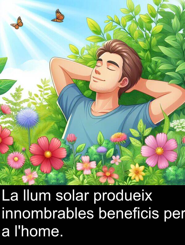 solar: La llum solar produeix innombrables beneficis per a l'home.