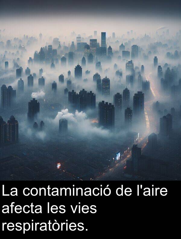 contaminació: La contaminació de l'aire afecta les vies respiratòries.
