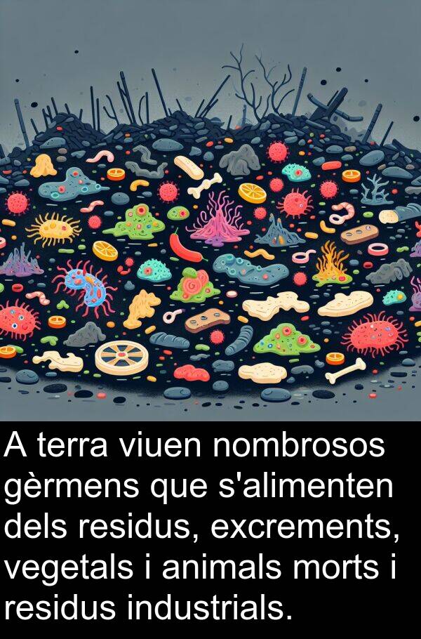 nombrosos: A terra viuen nombrosos gèrmens que s'alimenten dels residus, excrements, vegetals i animals morts i residus industrials.
