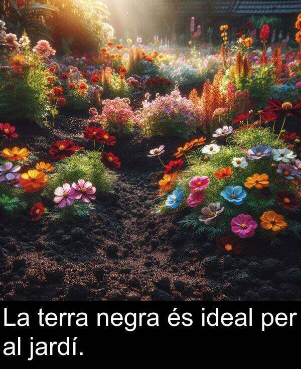 negra: La terra negra és ideal per al jardí.