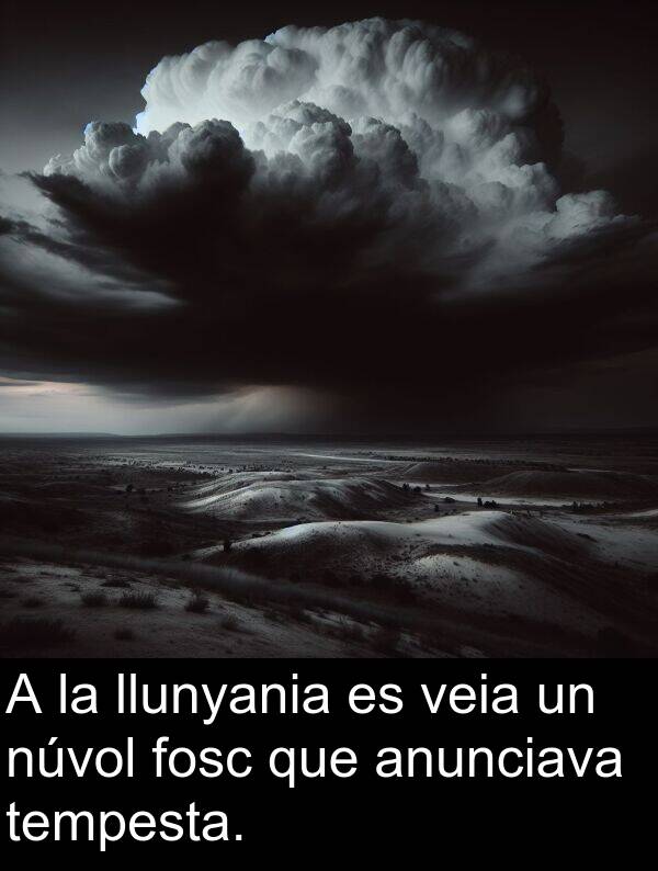 tempesta: A la llunyania es veia un núvol fosc que anunciava tempesta.